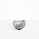 Dinosaur Designs Medium Beetle Bowl in Slate Colour resin