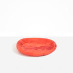 Dinosaur Designs BWLBONMED Medium Bones Bowl LYCHEE