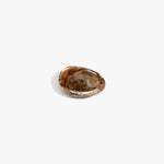 Dinosaur Designs DSHBONSDE Bones Side Dish CAPPUCCINO