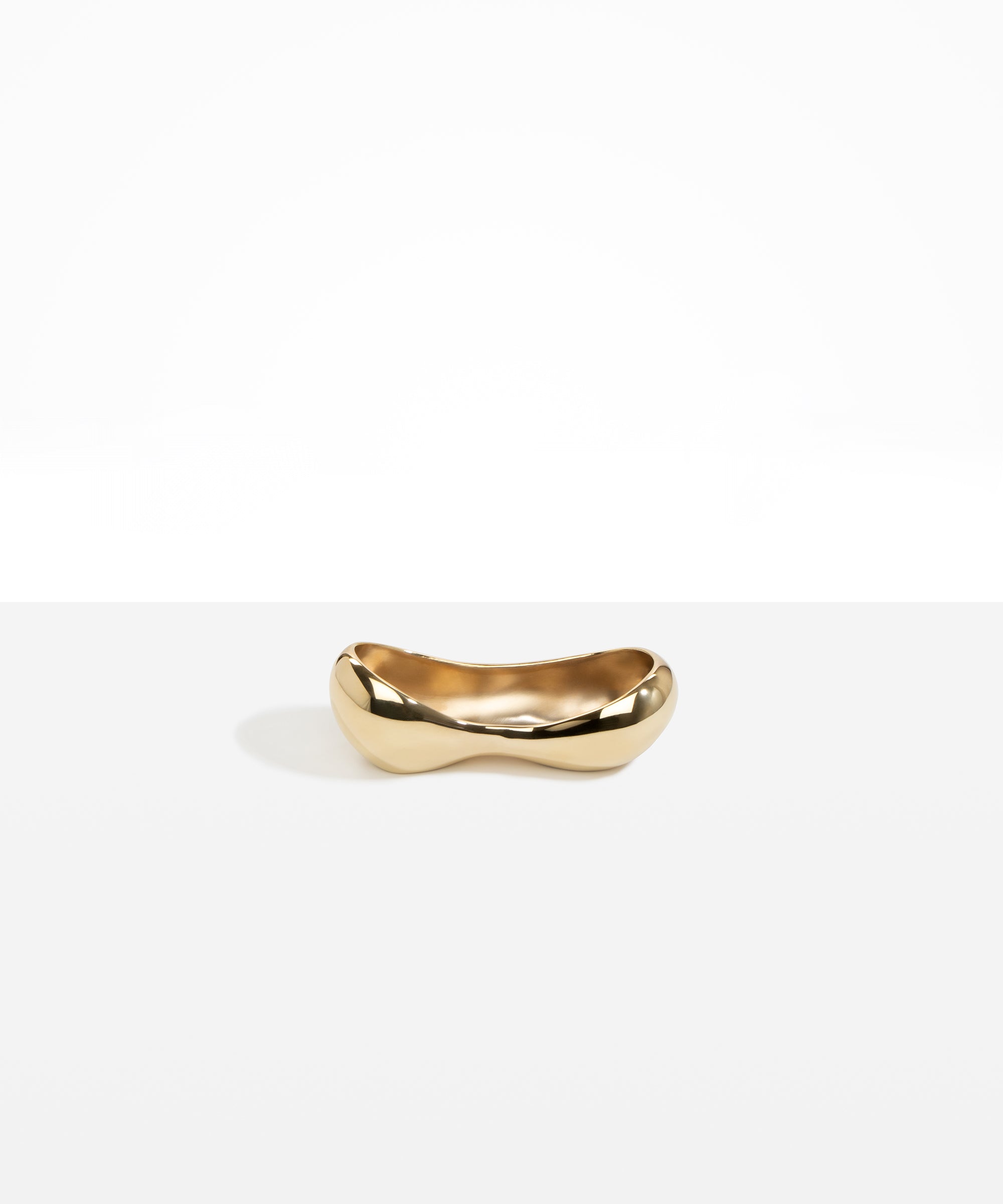 Dinosaur Designs Metal Bones Dish in Brass Material