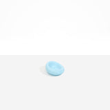 Dinosaur Designs DSHPLNDRFS Small Drift Dish POOL