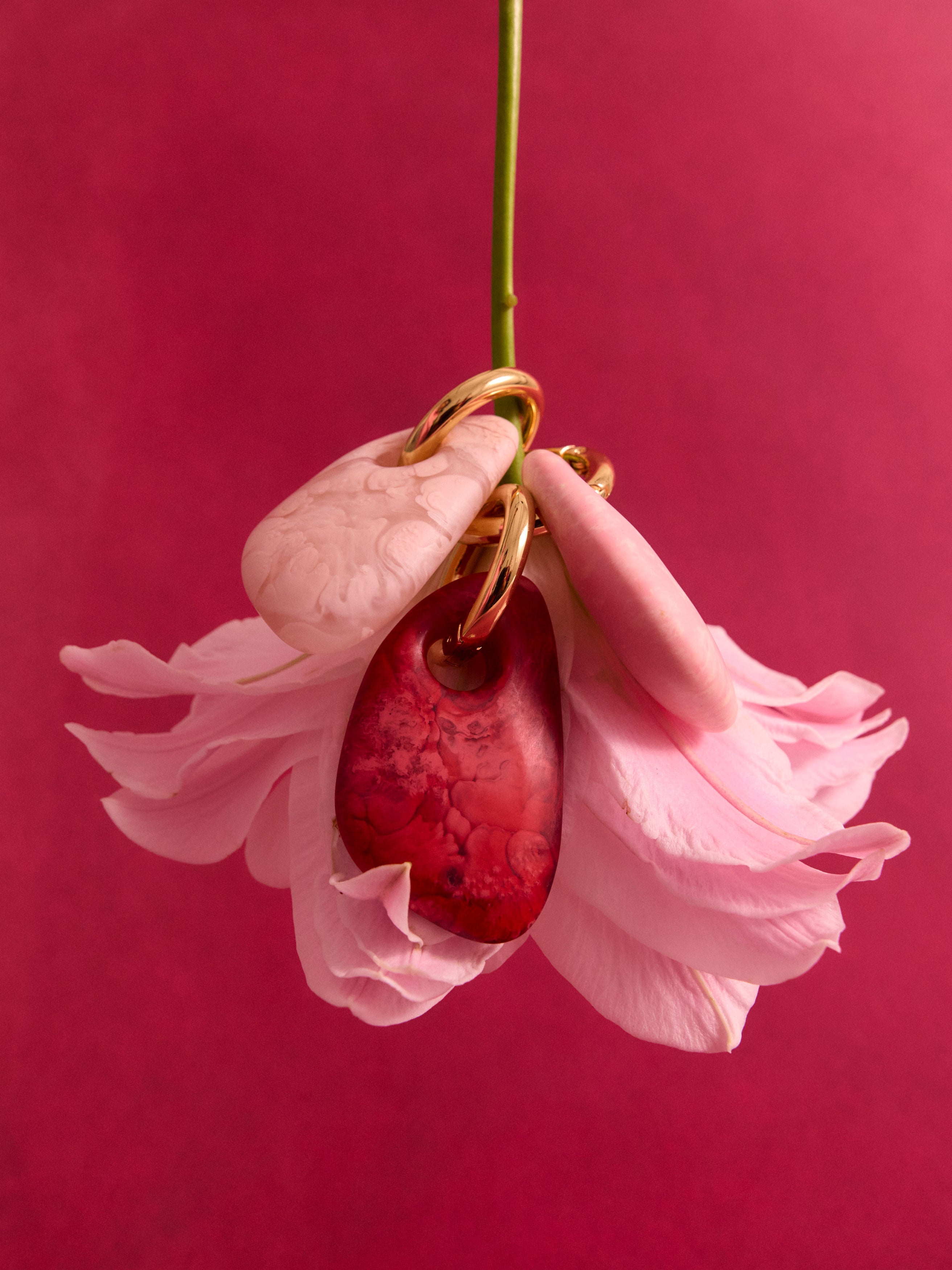 Lily with pink resin keyrings looped on the stem on a pink backdrop