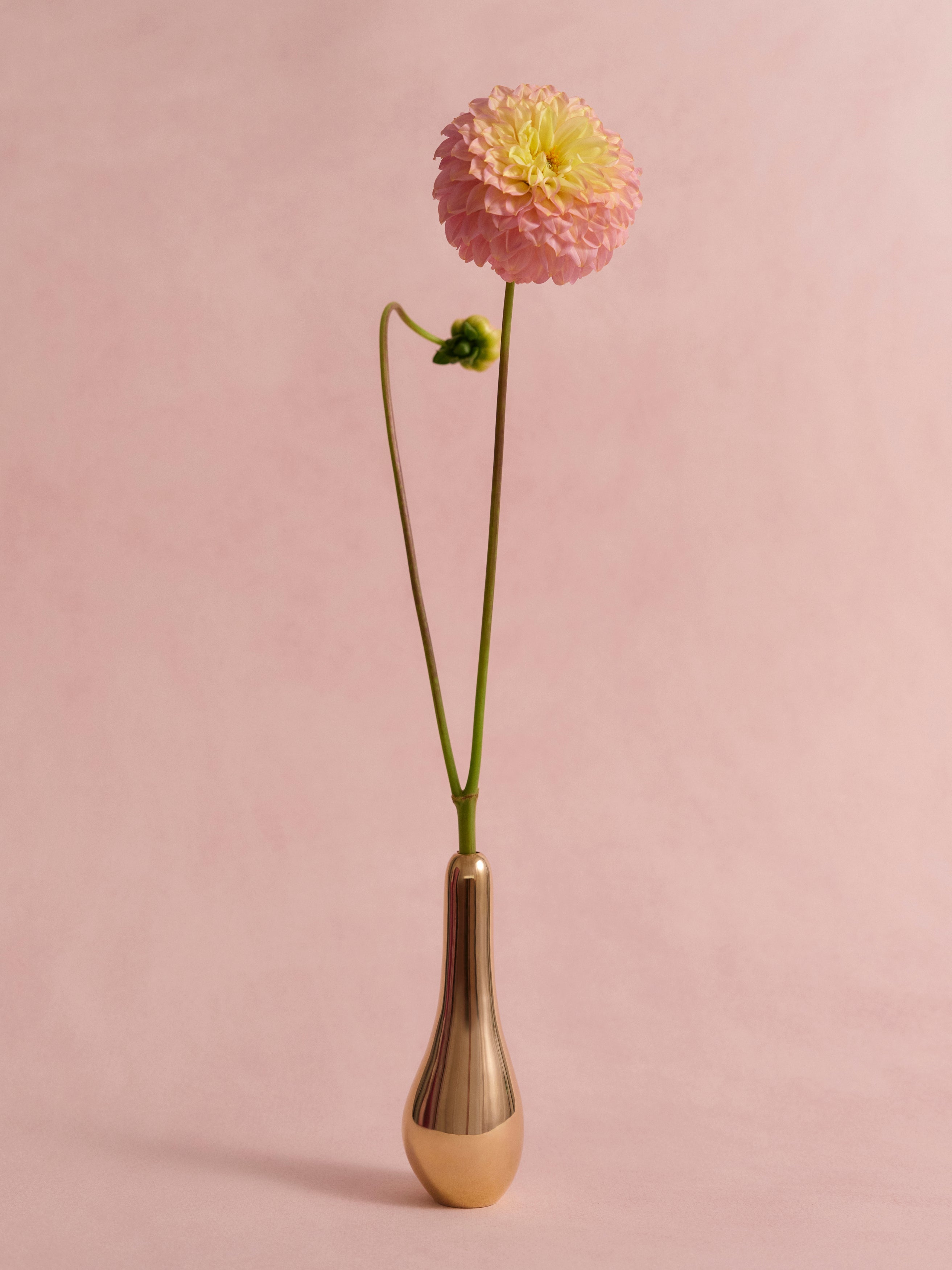 Brass vase with a single pink flower on a pink background
