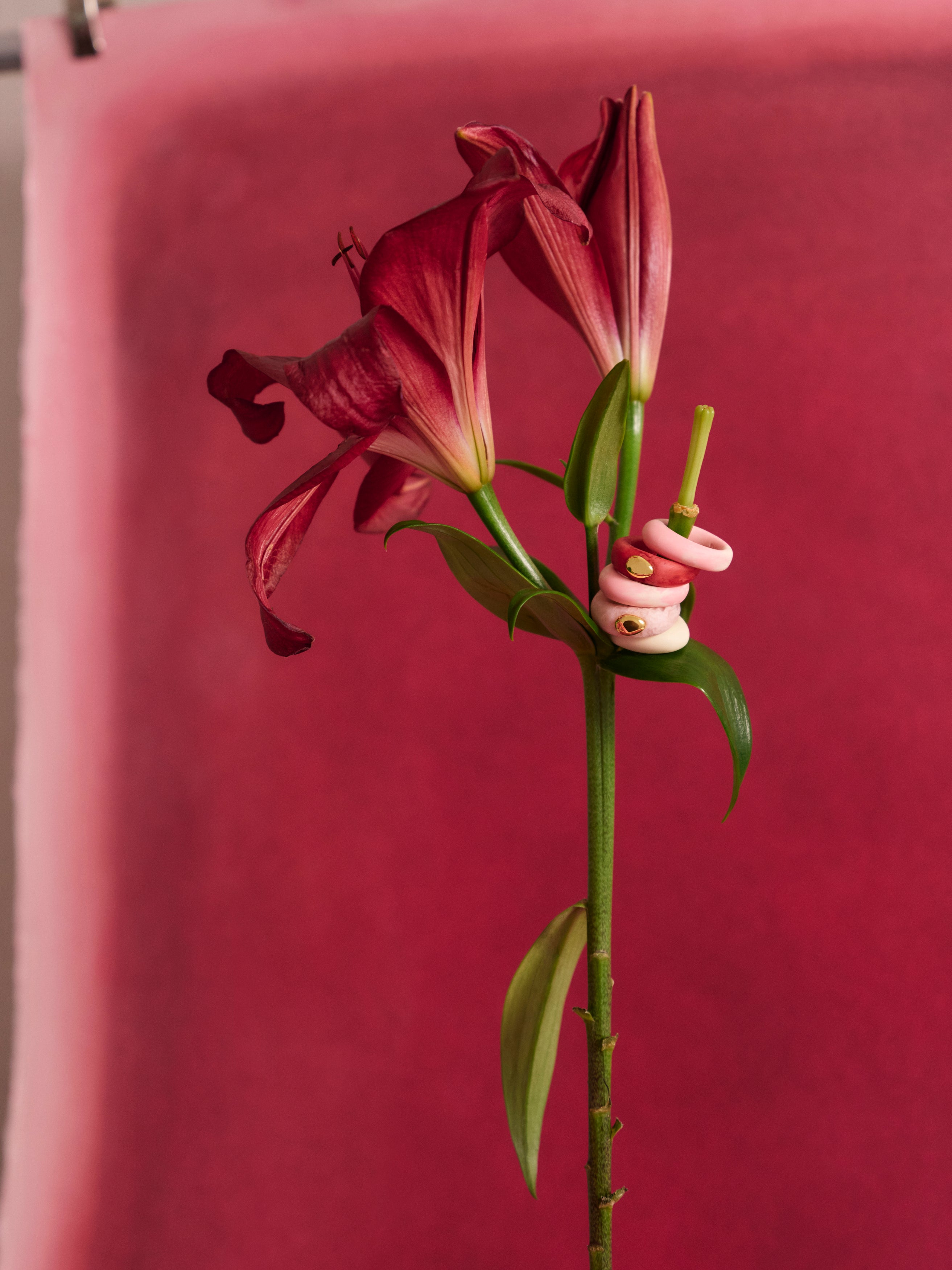 Red lily flower with a stack of resin rings on a pink backdrop