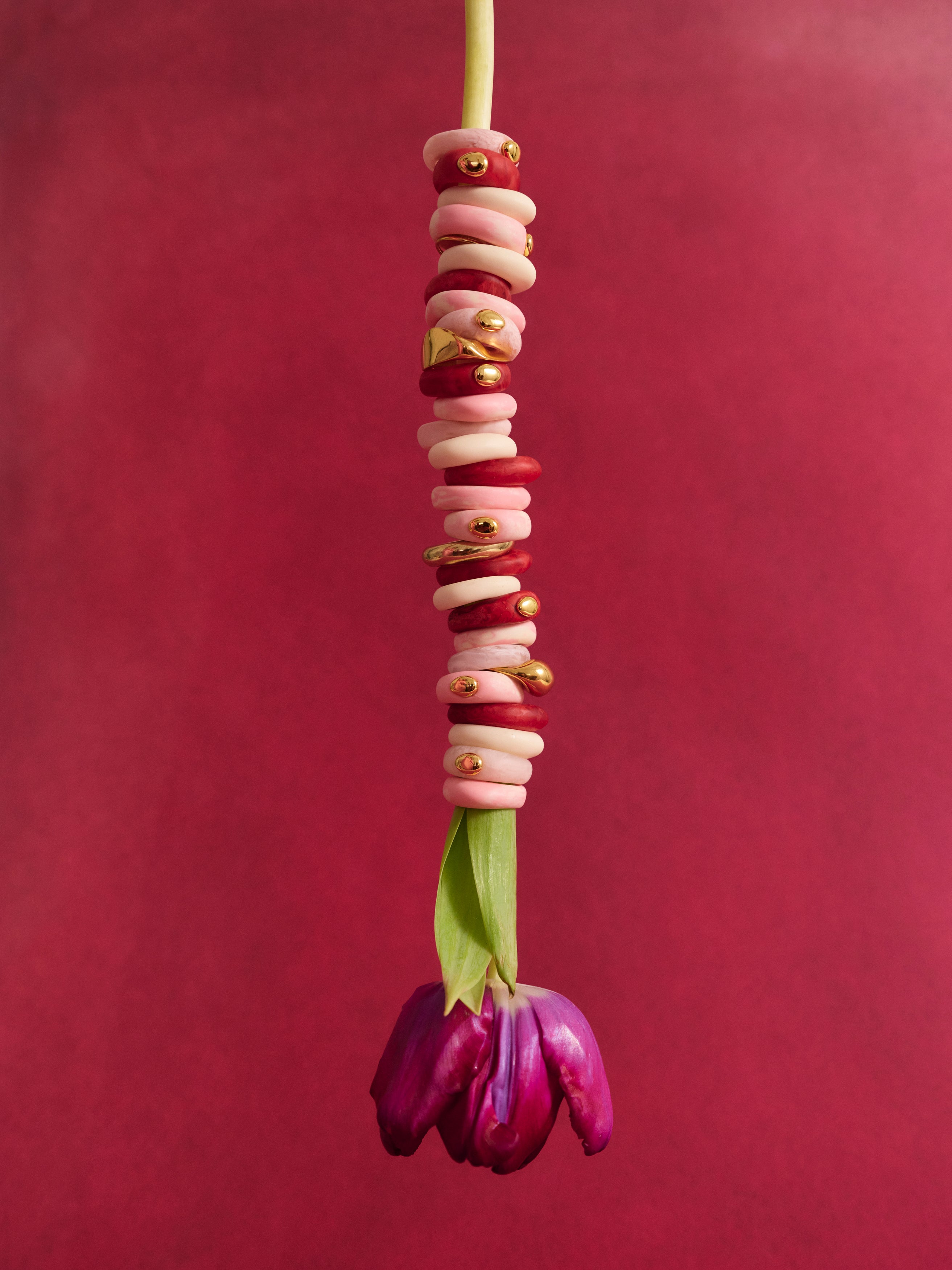 Purple tulip with a variety of brass and pink and cream resin rings stacked on the stem