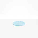 Dinosaur Designs PLTRCKSML small rock plate POOL 