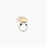 Round Watercolour Ring