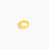 Dinosaur Designs RGERTSLA SLATE Ring POLLEN.