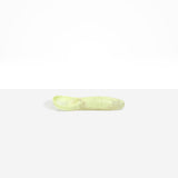 Dinosaur Designs Shell Gelato Scoop in Pistachio — handcrafted marbled pale green resin ice cream scoop with deep rounded bowl and smooth cylindrical handle