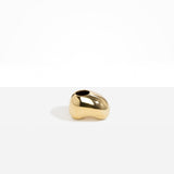 Dinosaur Designs Metal Pirouette Vase in Brass Material