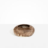 Dinosaur Designs VASRCKFLT Flat Rock Vase CAPPUCCINO.