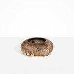 Dinosaur Designs VASRCKFLT Flat Rock Vase CAPPUCCINO..