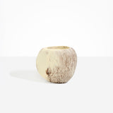 Large Rock Vase