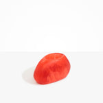 Dinosaur Designs VASRCKOVL Oval Rock Vase LYCHEE