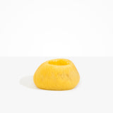 Dinosaur Designs VASRCKOVL oval rock vase POLLEN ..
