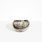 Dinosaur Designs Large Beetle Bowl in Cappuccino Colour resin.