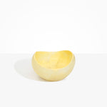 Dinosaur Designs Large Beetle Bowl in Lemon Colour resin