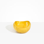 Dinosaur Designs Large Beetle Bowl in Pollen Colour resin.