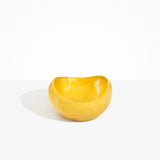 Large Beetle Bowl