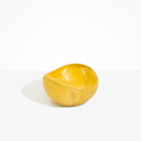 Large Beetle Bowl