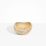 Dinosaur Designs Large Beetle Bowl in Sandy Pearl Colour resin.