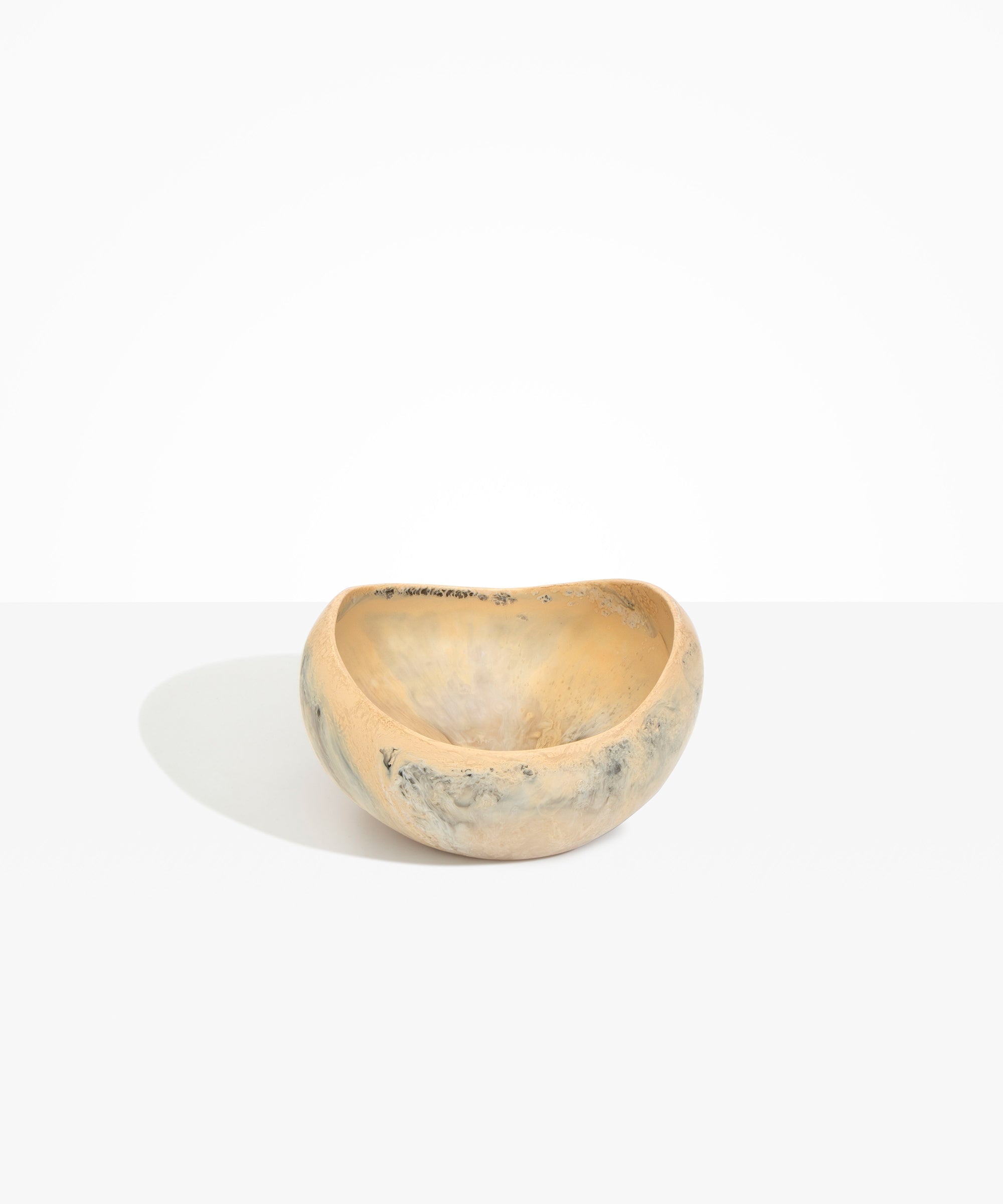 Dinosaur Designs Large Beetle Bowl in Sandy Pearl Colour resin.