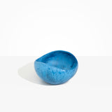 Large Beetle Bowl