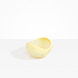 Medium Beetle Bowl