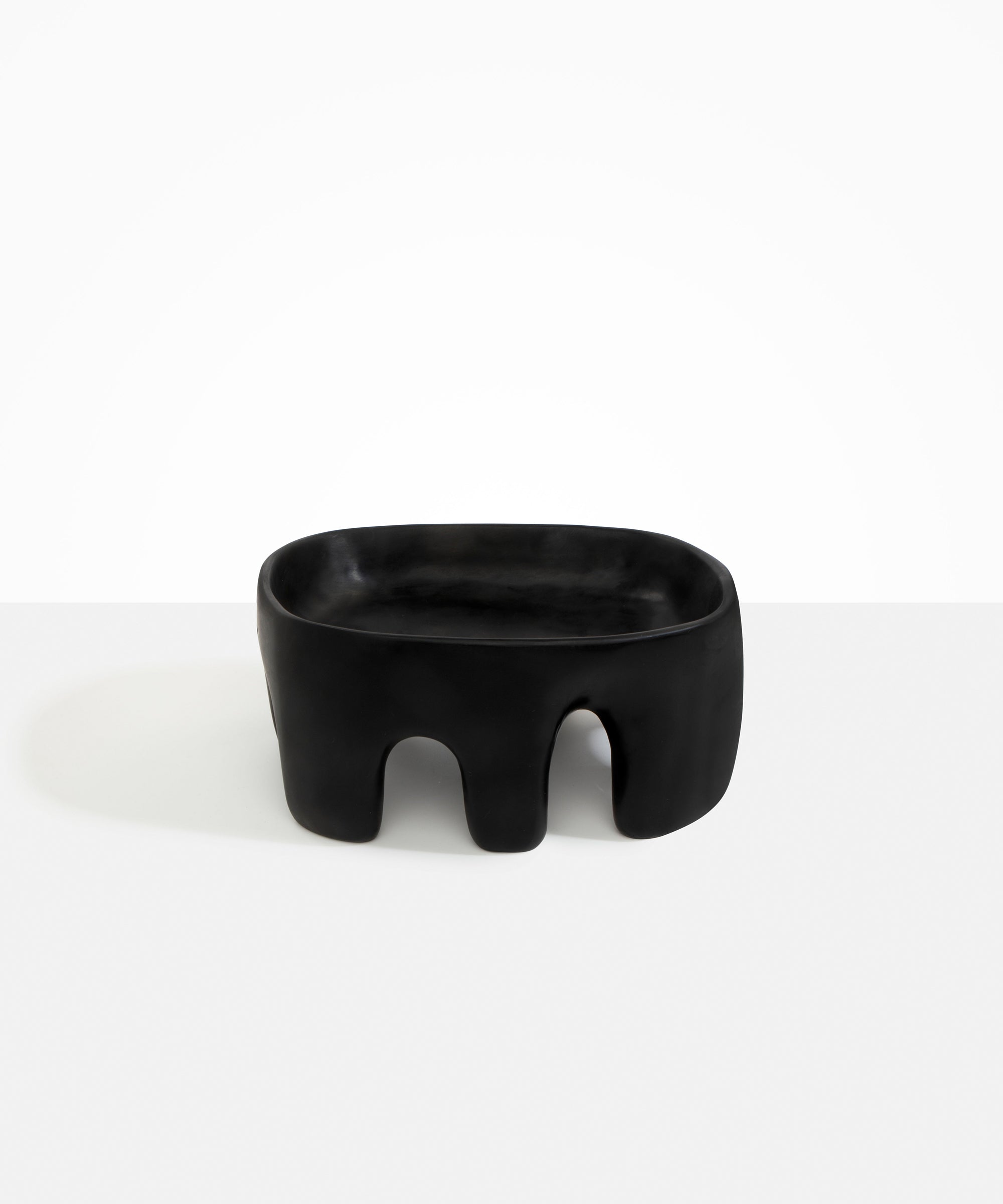 Dinosaur Designs Large Branch Bowl Bowls in Black Colour resin