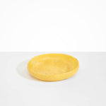 Dinosaur Designs Medium Earth Bowl Bowls in Pollen Colour resin