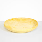 Dinosaur Designs Extra Large Earth Bowl in Daisy Colour resin..