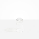 Dinosaur Designs coloured Glass Pebble Carafe cup and jug set in transparent clear..