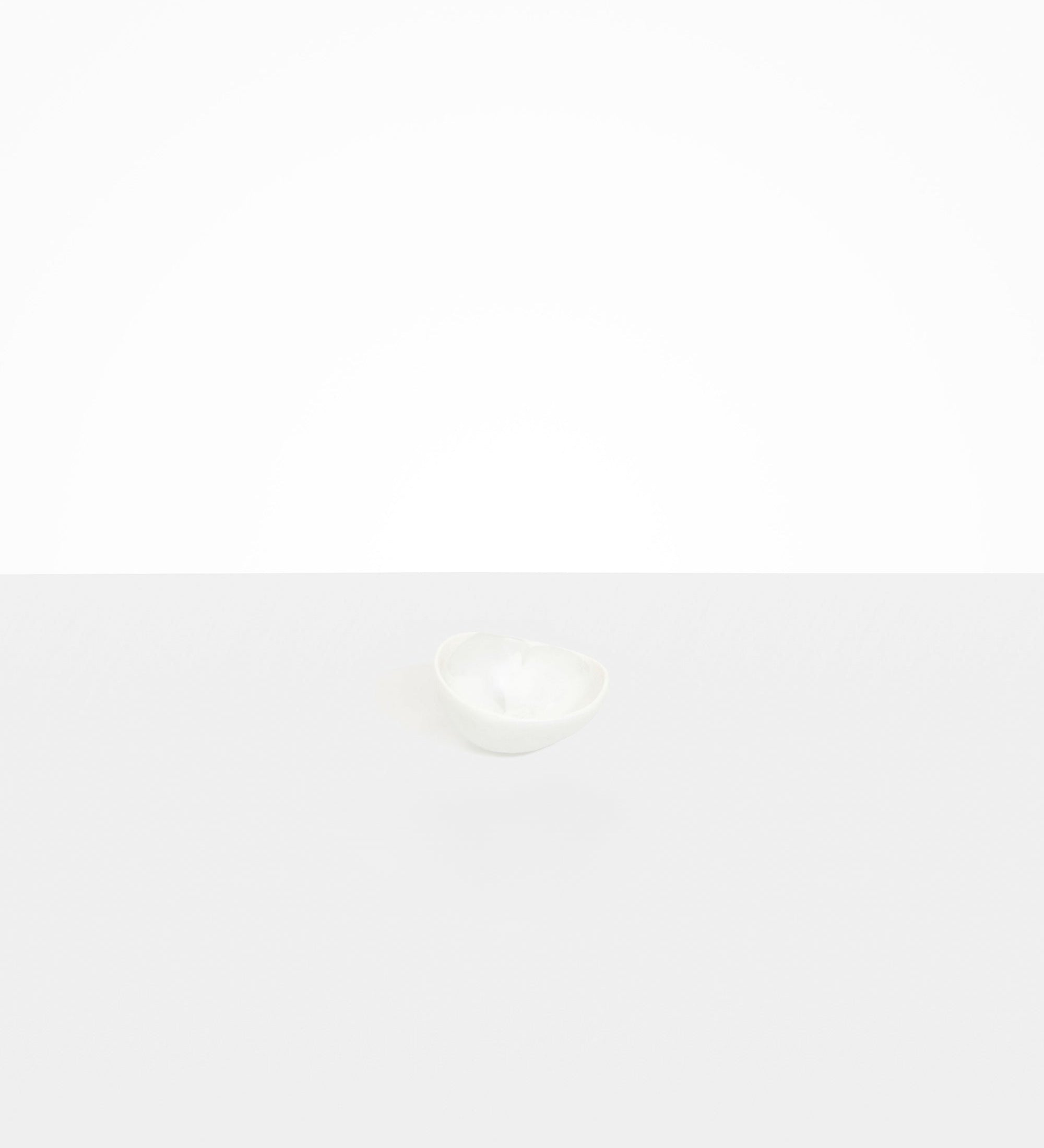 Dinosaur Designs Flow Spice Dish Tableware in Snow Swirl Colour resin