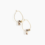 Dinosaur Designs Joie De Vivre Hoop Earrings in Cappuccino Colour resin with Gold-Filled Material