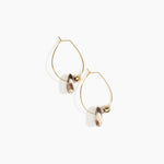 Dinosaur Designs Joie De Vivre Hoop Earrings in Cappuccino Colour resin with Gold-Filled Material..