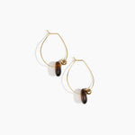 Dinosaur Designs Joie De Vivre Hoop Earrings in Tortoise Colour resin with Gold-Filled Material
