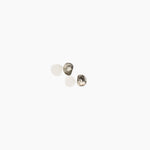 Dinosaur Designs Bones Stud Earrings in Granite Colour resin with Silver-Plated Brass Material..