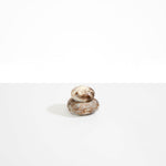 Dinosaur Designs JARPEBMED medium pebble jar CAPPUCCINO ..