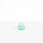 Dinosaur Designs Medium Pebble Jar in Mint Colour resin..
