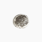 Dinosaur Designs MISTEMCST temple coaster DARK HORN ...