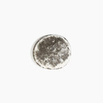 Dinosaur Designs MISTEMCST temple coaster DARK HORN ...
