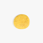Dinosaur Designs MISTEMCST temple coaster POLLEN 