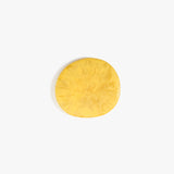 Dinosaur Designs MISTEMCST temple coaster POLLEN 