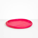 Dinosaur Designs Rock Tray in Flamingo Colour resin.
