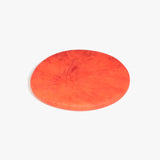 Dinosaur Designs PLRTEMCHE temple cheese platter LYCHEE 