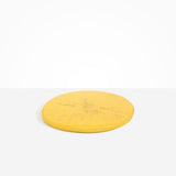 Dinosaur Designs PLRTEMCHE temple cheese platter POLLEN ...