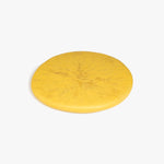 Dinosaur Designs PLRTEMCHE temple cheese platter POLLEN 