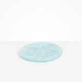 Dinosaur Designs PLRTEMCHE temple cheese platter POOL ..