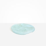 Dinosaur Designs PLRTEMCHE temple cheese platter POOL ..
