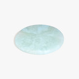 Dinosaur Designs PLRTEMCHE temple cheese platter POOL 